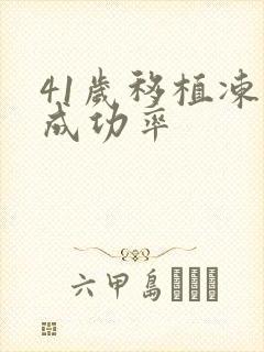 41岁移植冻胚成功率