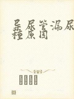 导尿管漏尿有几种原因