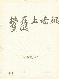 按在上墙腿探进双腿