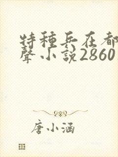 特种兵在都市有声小说2860集麒