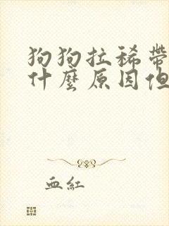 狗狗拉稀带血是什么原因但很活泼