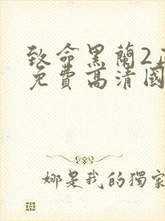 致命黑兰2正版免费高清国语版