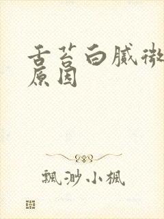 舌苔白腻微黄啥原因