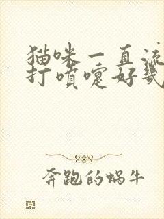 猫咪一直流鼻涕打喷嚏好几个月了