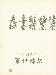 夫妻离婚后小孩抚养权怎么判定