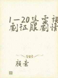1—20集电视剧征服剧情介绍