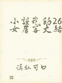 小说我的26岁女房客大结局