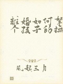 离婚如何拿到两个孩子的抚养权