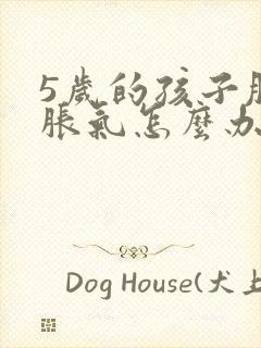 5岁的孩子肚子胀气怎么办