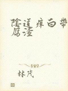 阴道痒白带黄豆腐渣