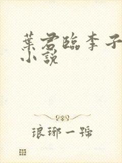 叶君临李子染的小说