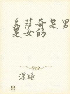 乌萨奇是男的还是女的