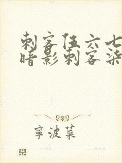 刺客伍六七中的暗影刺客柒封面