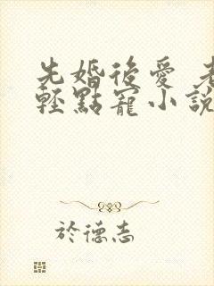 先婚后爱 老公轻点宠小说