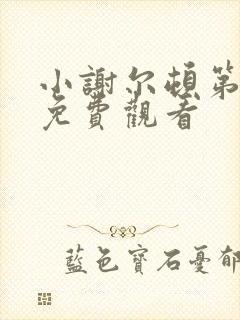 小谢尔顿第一季免费观看