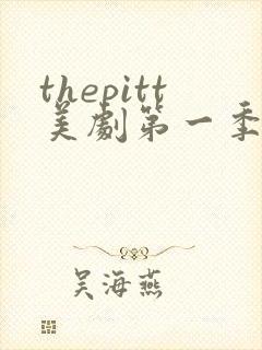 thepitt美剧第一季免费观看