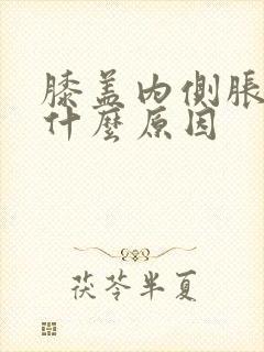 膝盖内侧胀痛是什么原因