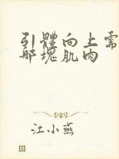 引体向上需要练哪块肌肉封面