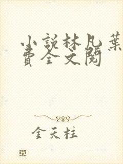 小说林凡叶惜免费全文阅