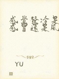 感觉发冷是风寒感冒还是风热感冒