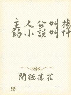 主人公叫杨小天的小说叫什么名字