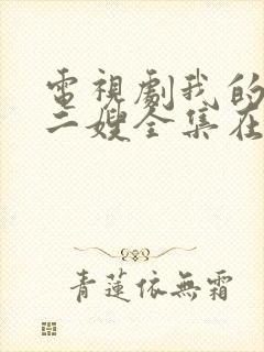 电视剧我的二哥二嫂全集在线播放封面