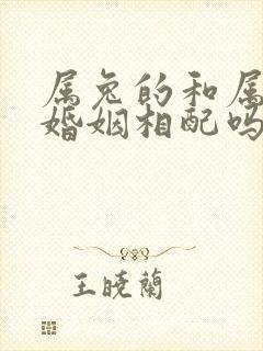 属兔的和属虎的婚姻相配吗