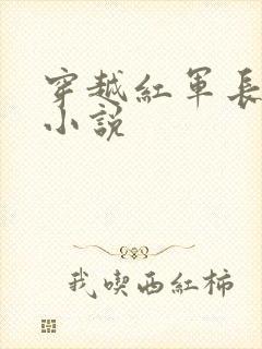 穿越红军长征的小说