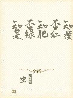 知否知否知否应是绿肥红瘦康姨母