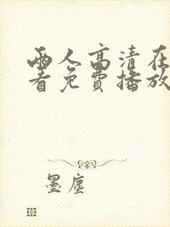 两人高清在线观看免费播放电视剧网