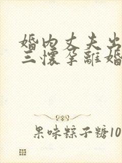婚内丈夫出轨小三怀孕离婚