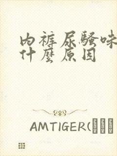 内裤尿骚味大是什么原因