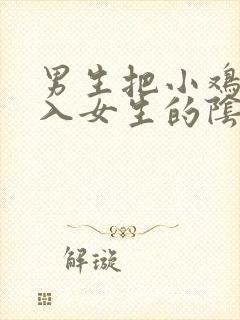 男生把小鸡鸡插入女生的阴道里