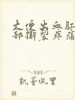 大便出血肛门内部撕裂疼痛