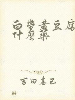 白带黄豆腐渣用什么药