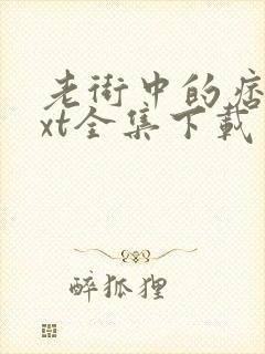 老街中的痞子txt全集下载