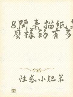 8开素描纸是什么样的有多大