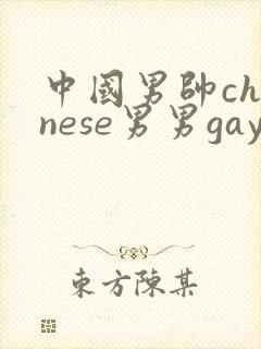 中国男帅chinese男男gay相关网站