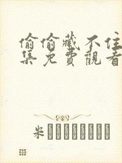 偷偷藏不住40集免费观看