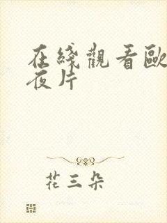 在线观看欧美午夜片