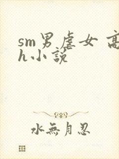 sm男虐女 高h小说封面