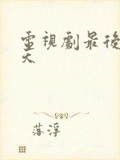 电视剧最后99天封面