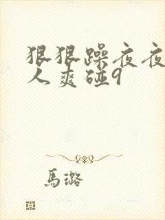 狠狠躁夜夜躁人人爽碰9