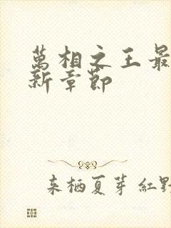 万相之王最新更新章节