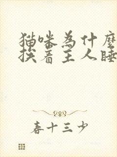 猫咪为什么喜欢挨着主人睡觉