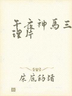 午夜神马三级伦理片封面