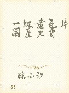 一级黄色片一级国产免费封面