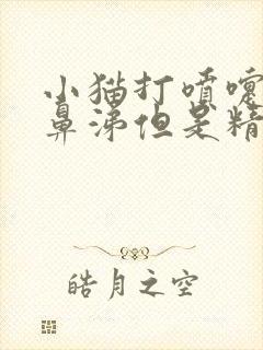 小猫打喷嚏不流鼻涕但是精神好