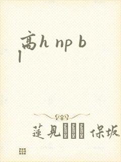 高h np bl