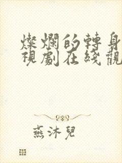 灿烂的转身 电视剧在线观看封面